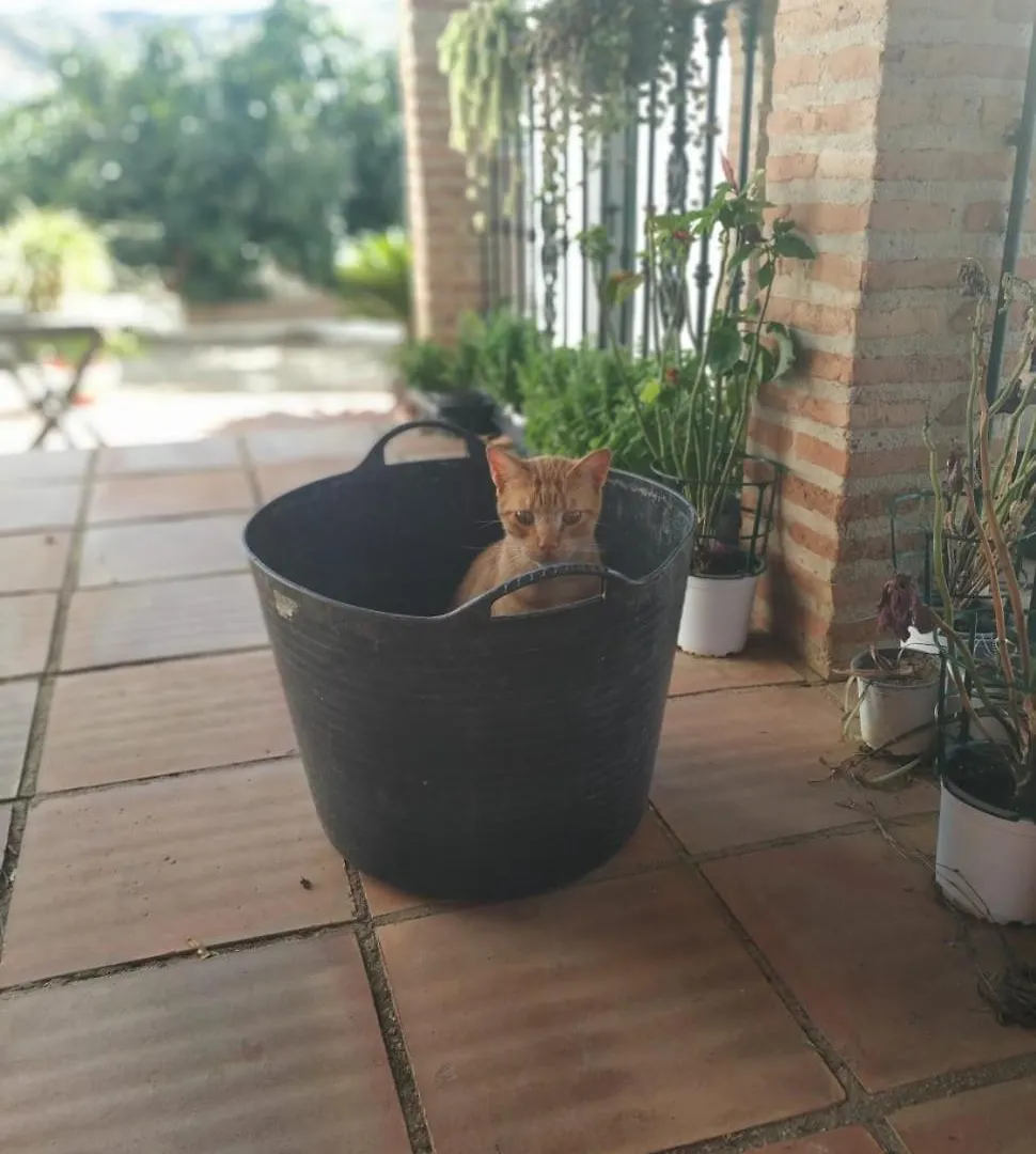 Paraje El Pozo Málaga Spanje