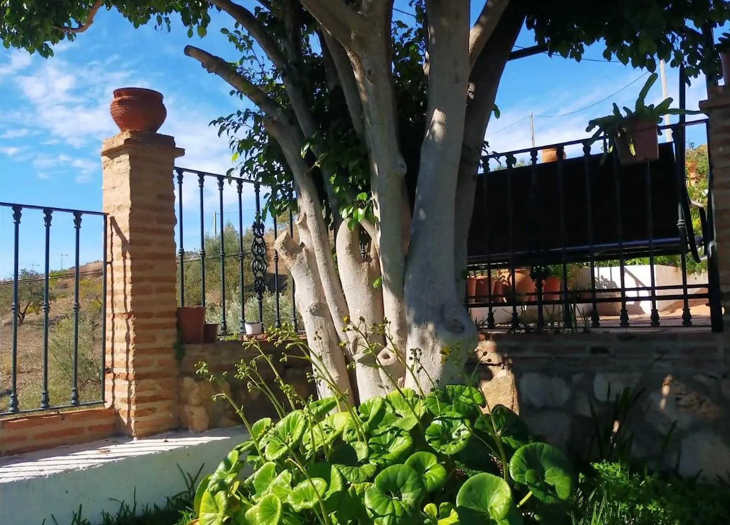 Paraje El Pozo Malaga Holiday home