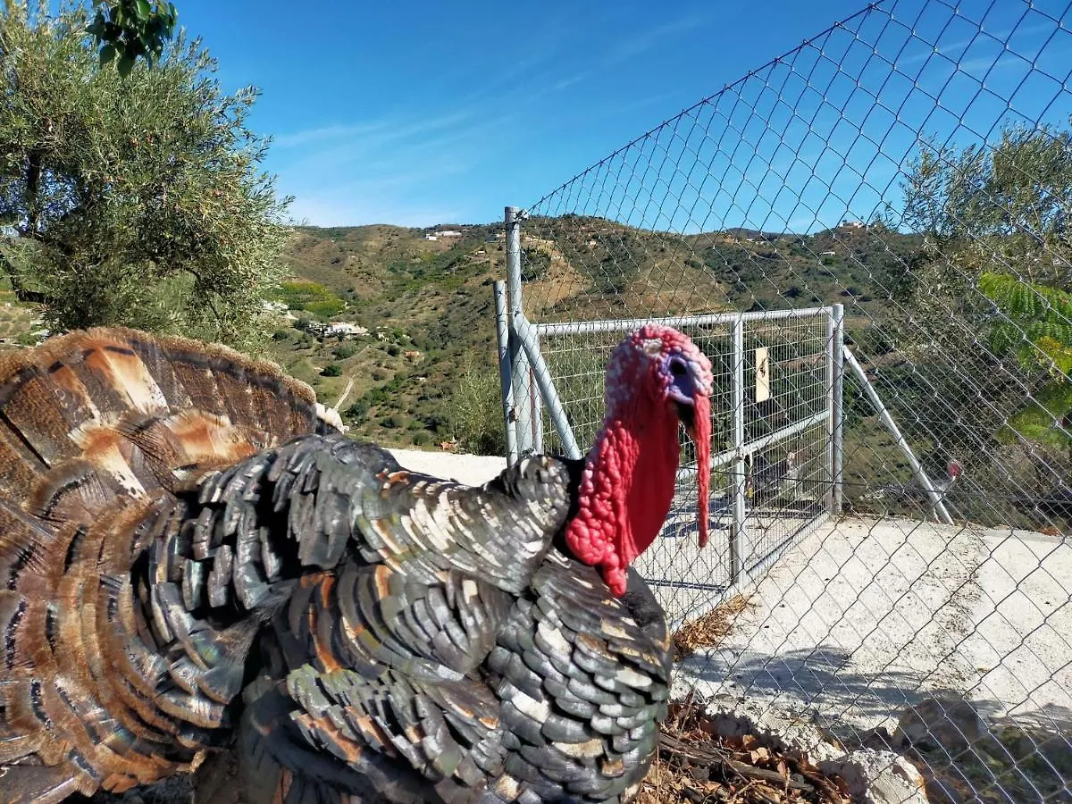 Paraje El Pozo Malaga Holiday home