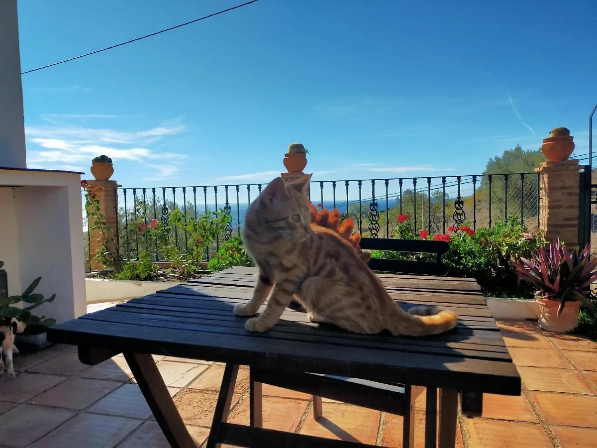 Holiday home Paraje El Pozo Malaga