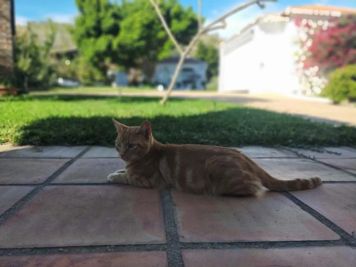 Paraje El Pozo Malaga Holiday home