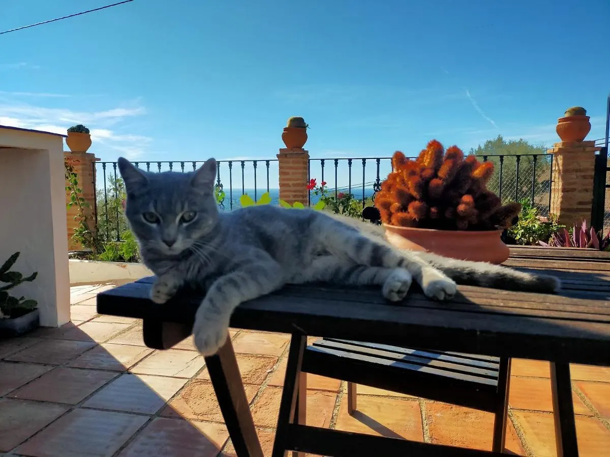 Paraje El Pozo Malaga
