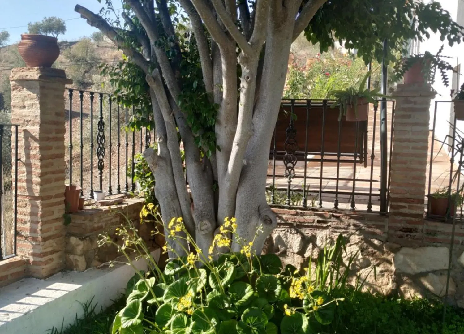 Paraje El Pozo Malaga