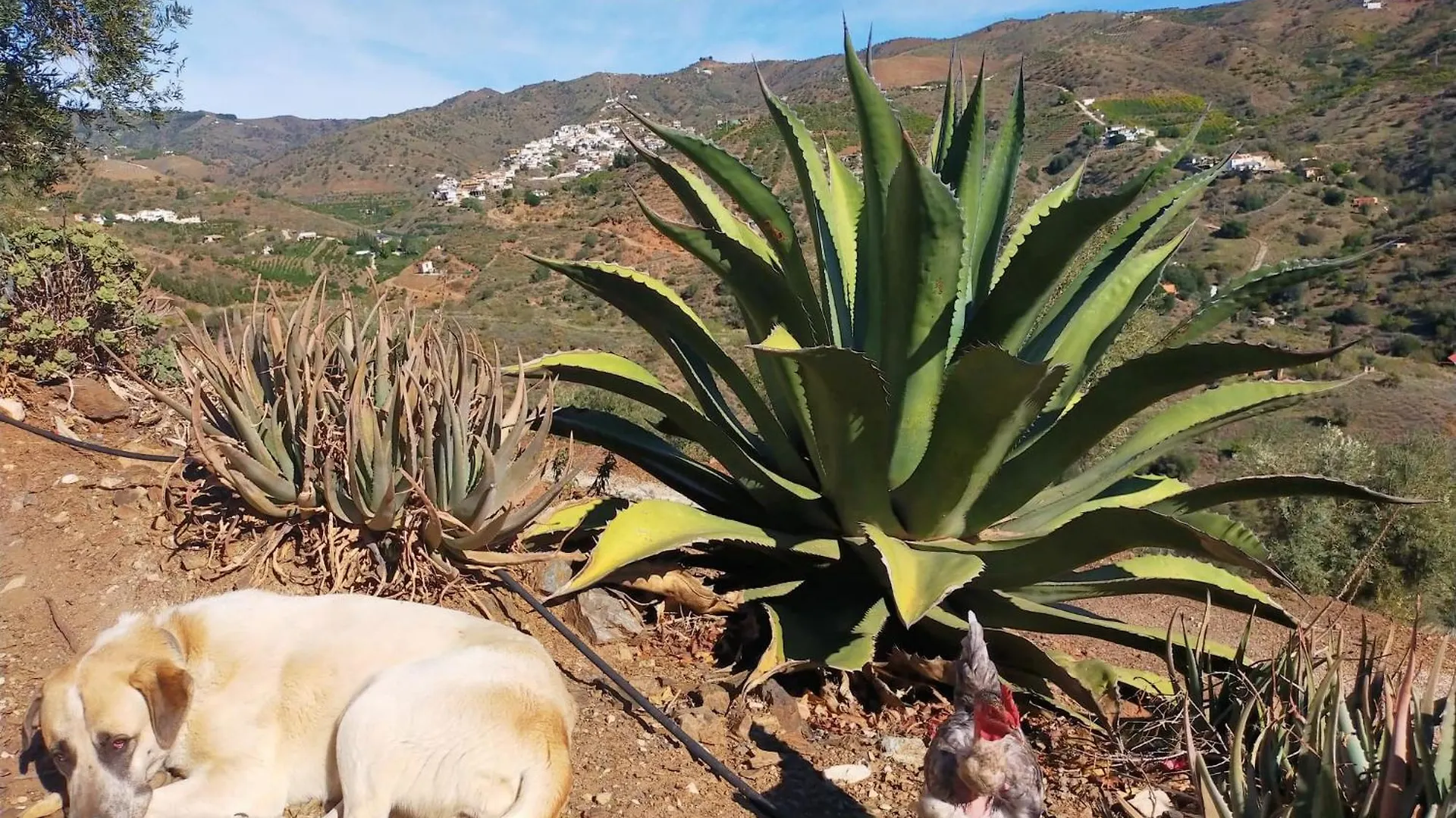 Paraje El Pozo Malaga