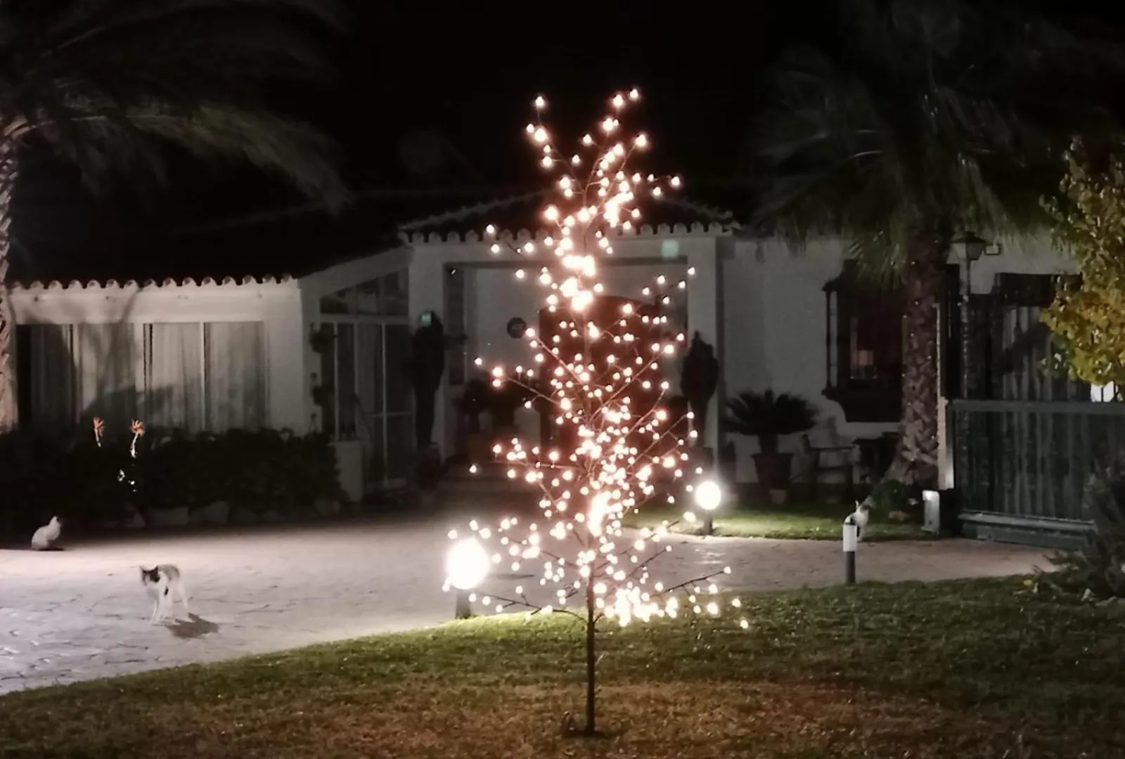 Holiday home Paraje El Pozo Malaga